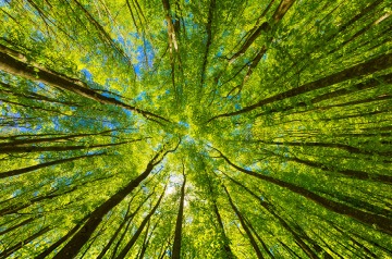 QoE Reports Improve Agribusiness Acquisitions Thumbnail