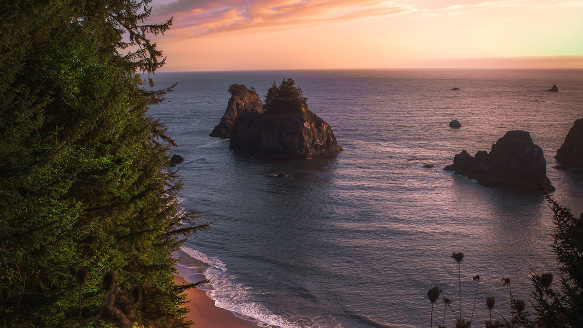 Behavioral Health Transformation and Payment Reform 