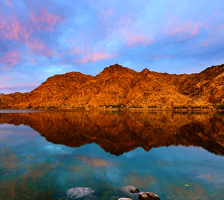 Webcasts: Navigate the Pandemic and Its Aftermath