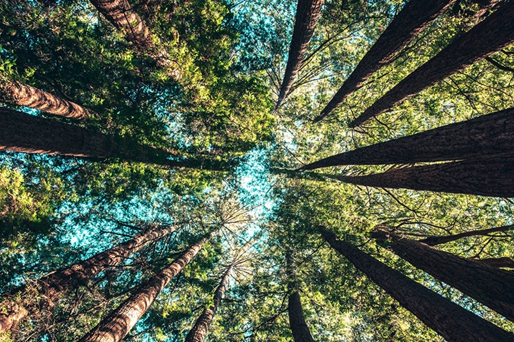 Deal Land: What’s Happening on the Landscape of Health Care Transactions