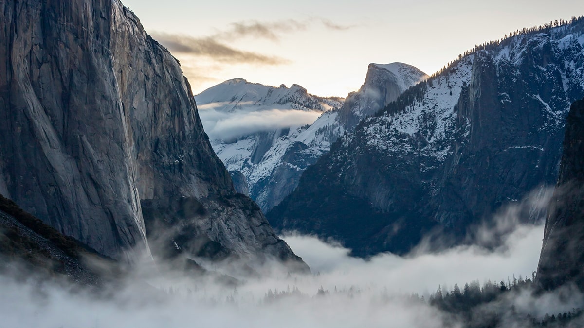 2025 Executive Health Care Conference: Collaboration between Payers and Providers