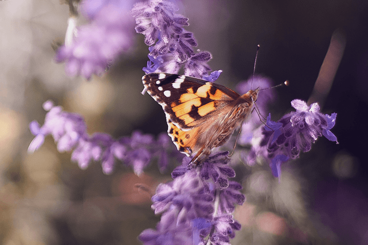 How Health Systems Transformed Culture Using Lean 