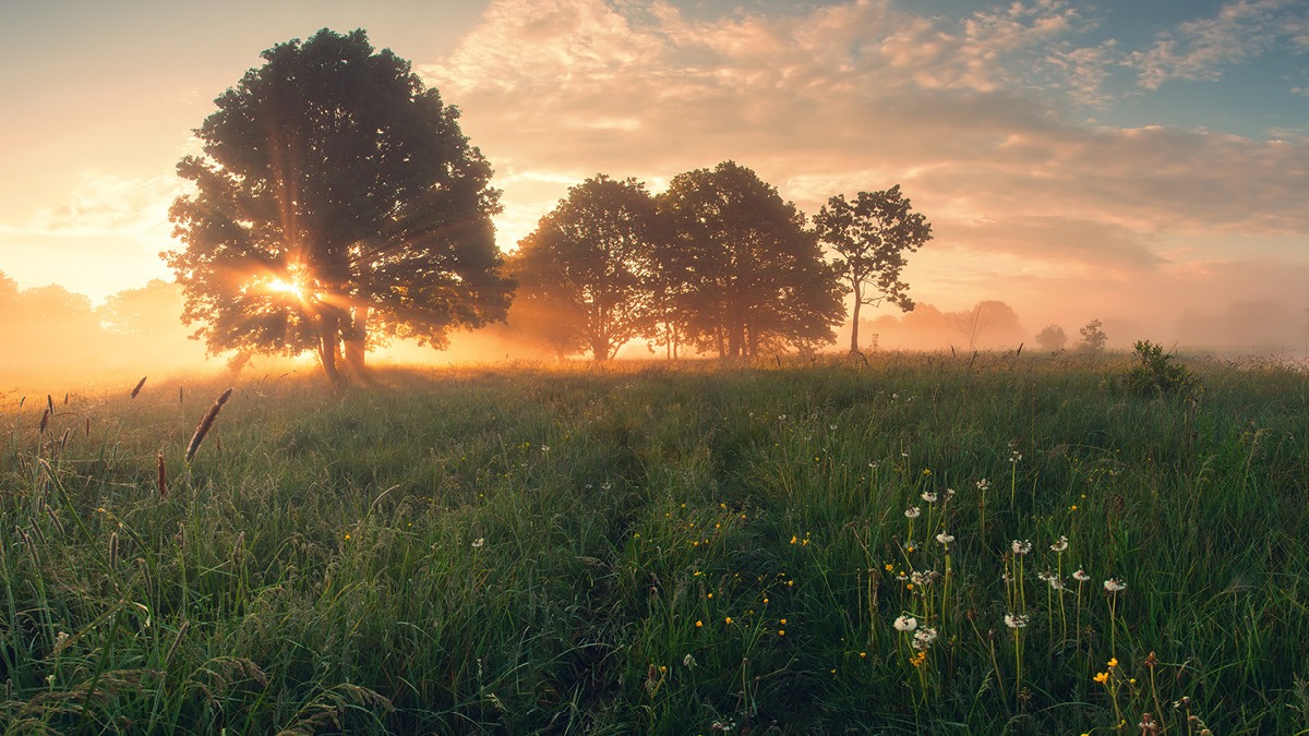 Q3 2025 Investing Insights: Macro and Markets