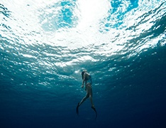 An ocean diver swimming to the surface