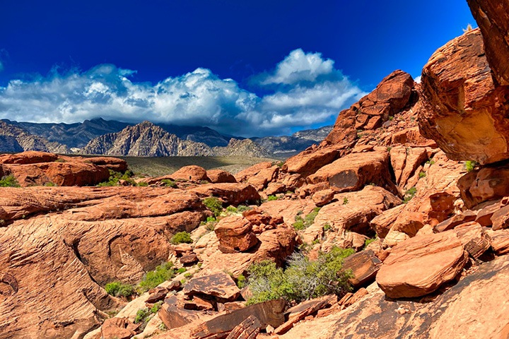 2023 Executive Health Care Conference