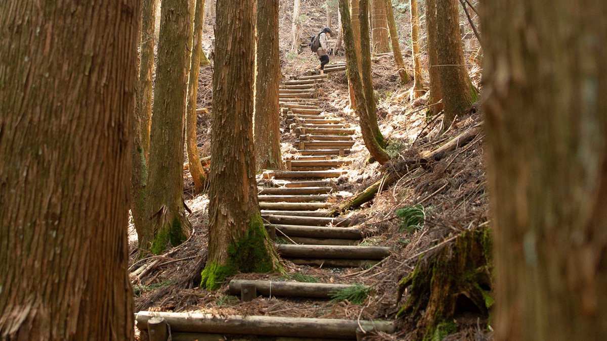 Key Steps for a Successful Business Transition