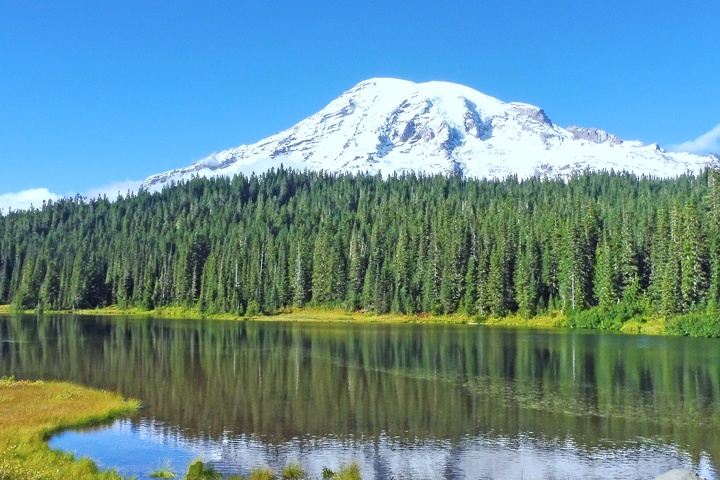 2021 Health Care Executive Webcast Series