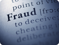 dictionary fraud picture