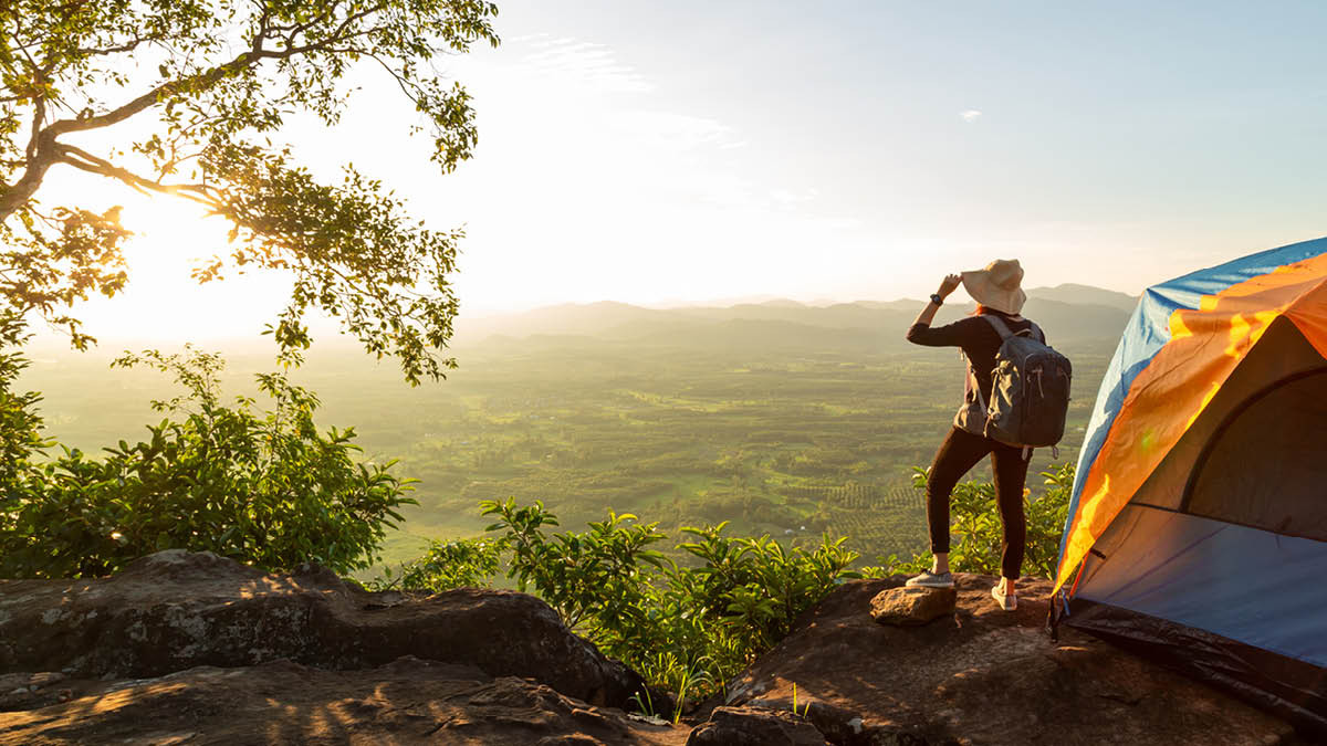 Create Effective Finance, Investment, and Audit Committees