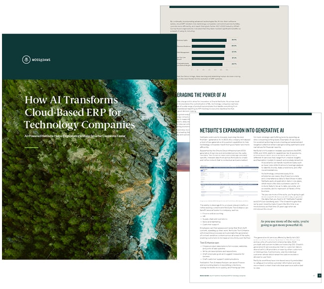 NetSuite Technology Guide