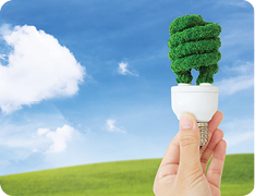 Hedge shaped like lightbulb