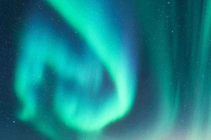 2019: Vision 2020  |   Preparing for the Future of Health Care