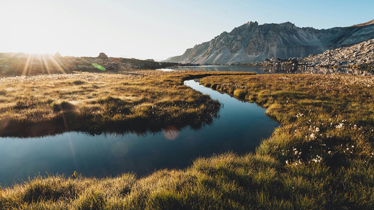 Women’s Executive Leadership: Lead to Peak Professional Performance